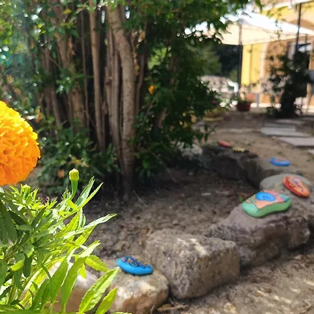 Edera 3* Porto SantʼElpidio