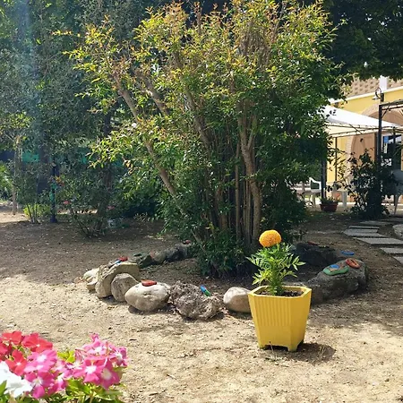 Πανσιόν Edera