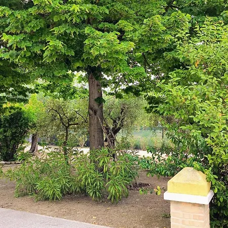 Edera Porto SantʼElpidio